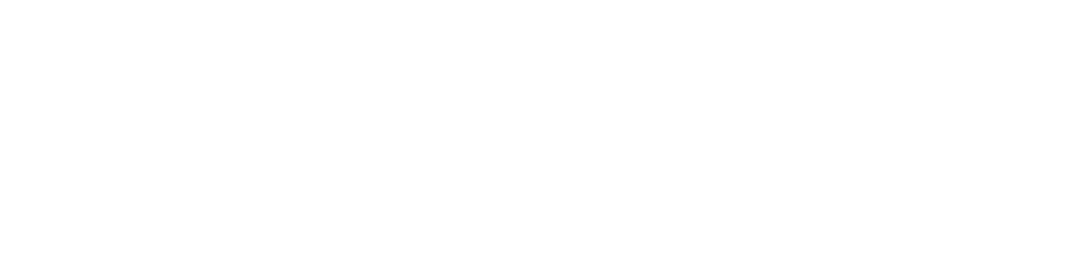 Finko Consulting